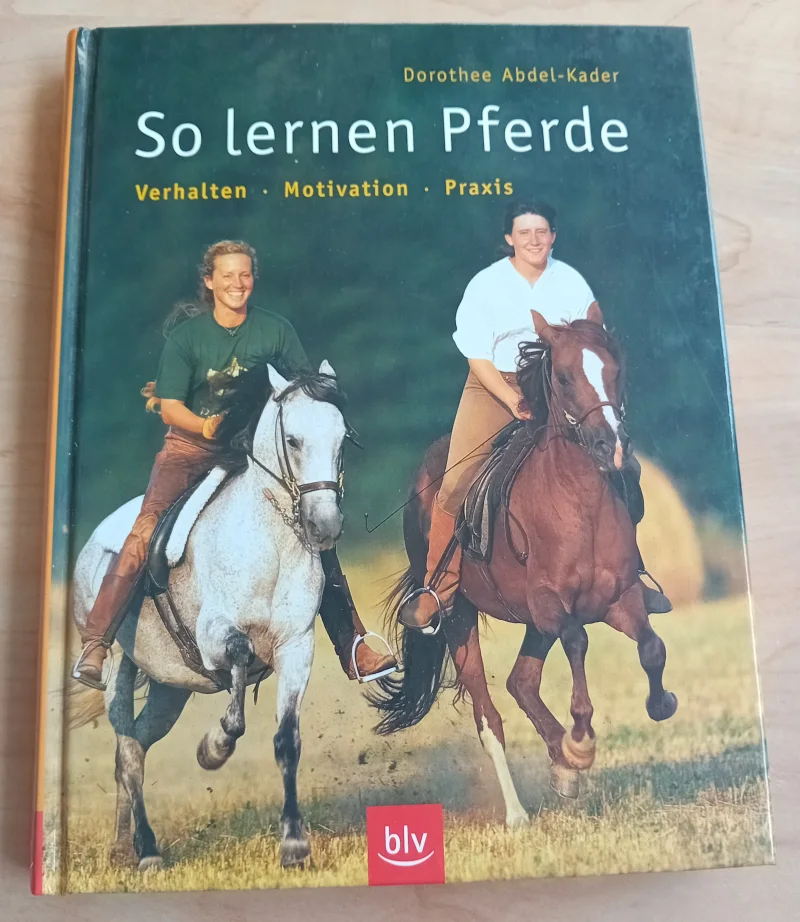 Buch So lernen Pferde