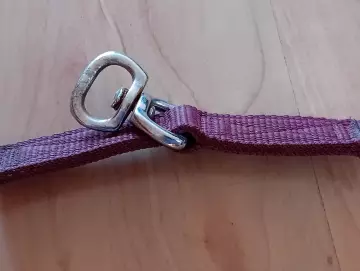 Longierbrille